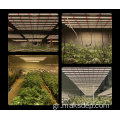 2020 Top Plant Grow Lights Fow Winter